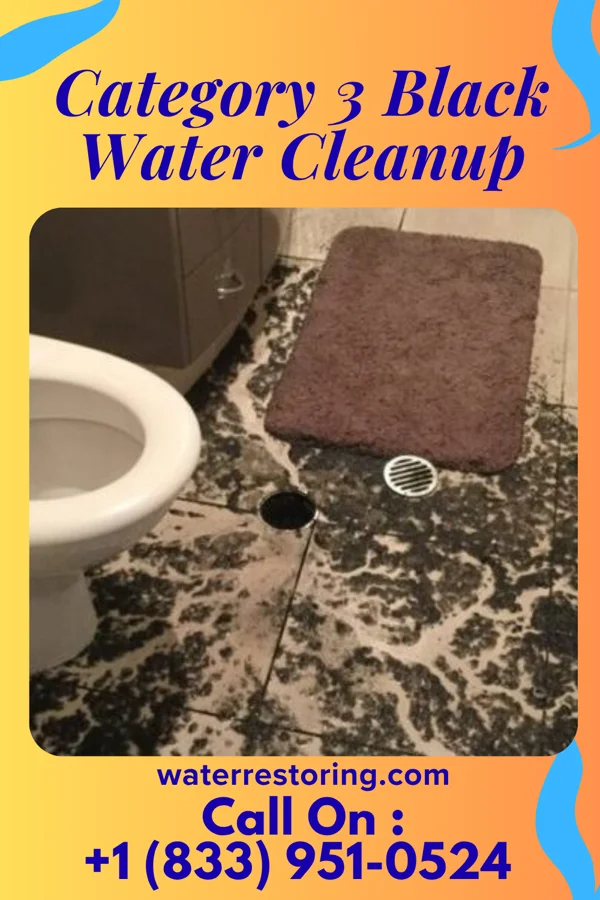 Category 3 Black Water Cleanup in West Frankfort, IL